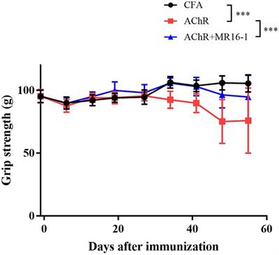 IL-6 receptor antibody treatment improves muscle weakness in experimental autoimmune myasthenia gravis mouse model